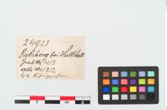 Etiketten zu Bronzeknopf (NHMW-PRAE-024923)